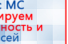 Аппаратно-программный комплекс «ROFES E01C» (Рофэс) купить в Среднеуральске, Rofes купить в Среднеуральске, Медицинская техника - denasosteo.ru